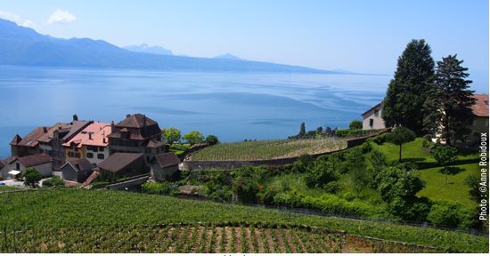 Quatuor d’arrêts incontournables  au bord du Léman